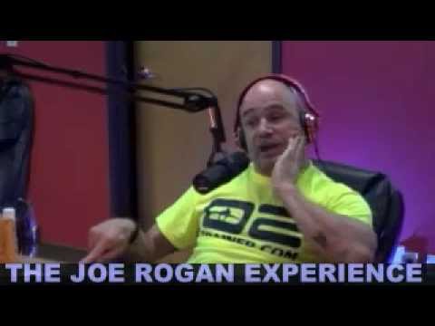 Joe Rogan Experience #335 - Bas Rutten