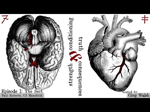 Wolf Brigade and The Sect - Challenging the Orthodoxy