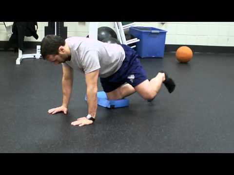 Quadruped Hip Circles