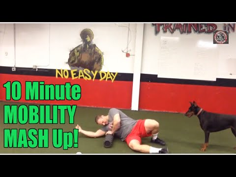 10 Minute Mobility MASH Up! (Doberman Appearance)