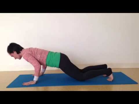 Mini Flow to Build Up Chaturanga