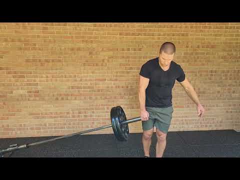 Modified Landmine SL RDL: Pulse Beat Fit Lower Body Landmine Workout