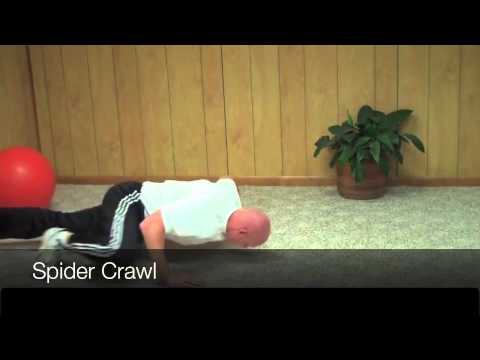 Spider Crawl Exercise Tutorial