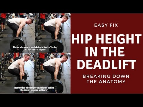 How Low Should Your Hips Be in the Deadlift? | Easy Way to Figure It Out