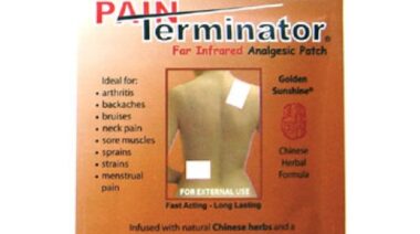 painterminator-500x500