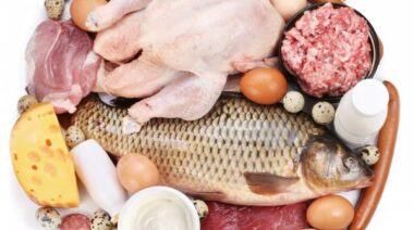 protein, nutrition, diet