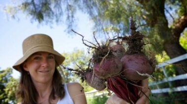 apricot lane farms, sustainable farming, organic farming, biodynamic farming