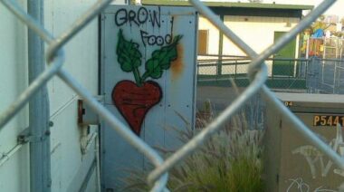 food, community health, insecure food, food programs, food stamps