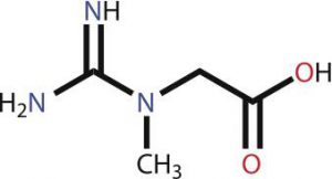 creatine, cla, creatine monohydrate