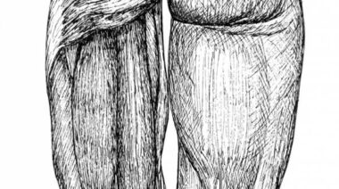 hamstrings, semitendinosus, semimembranosus, biceps femoris