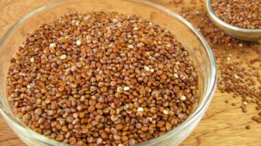 digestive system, mucosal lining of intestines, gluten, saponins quinoa