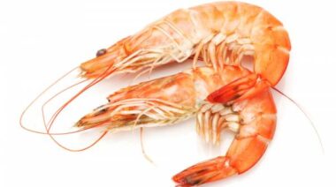 krill, krill oil, fish oil vs krill oil, benefits of krill oil, krill omega-3