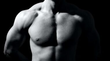 carnitine, carnitine studies, protein turnover, catabolic vs anabolic