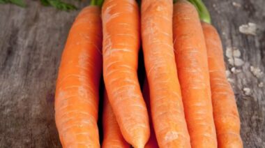 vitamin a, retinoids, vitamins, rhodopsin, beta-carotene, beta carotene