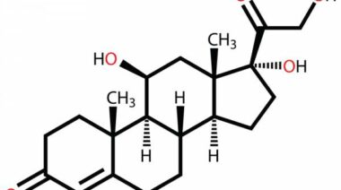 cortisol, adrenal system, hormones, cortisol levels, stress levels, adrenals