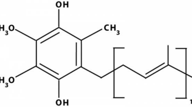 ubiquinol, coenzyme q 10, coq10, coq10 performance enhancer