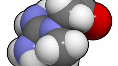 creatine, creatine monohydrate, antioxidants, creatine supplementation