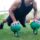 mike eves, training plan, free workouts, bodyweight workouts, kettlebell workout