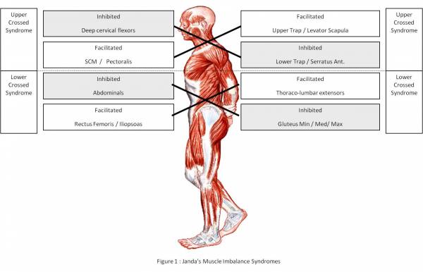 bracing, breathing, breathing for weightlifting, breathing for lifting, lifting