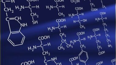 amino acids, ornithine, l-ornithine, stress, sleep, supplements