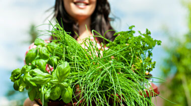 freshherbscropped