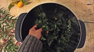 Gourmet kale chips.