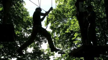 climbing a tree