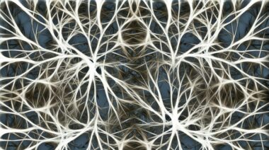 neurons