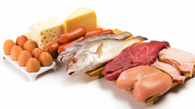 proteinsources