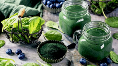 plant protein sources