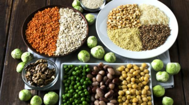 sources of plant protein