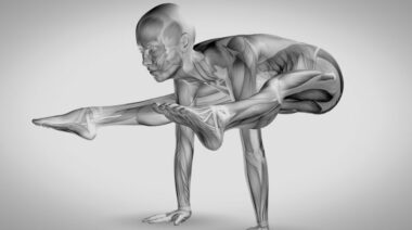 anatomyandyoga