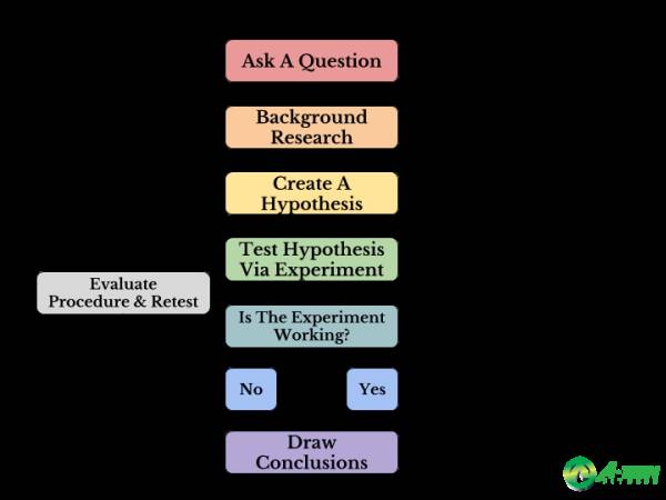 The Scientific Method