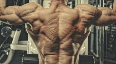 backmusclesagingskin1