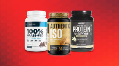 Pulse Beat Fit Best Protein Powder