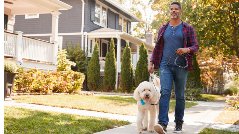 Person walking dog on sidewalk outdoors